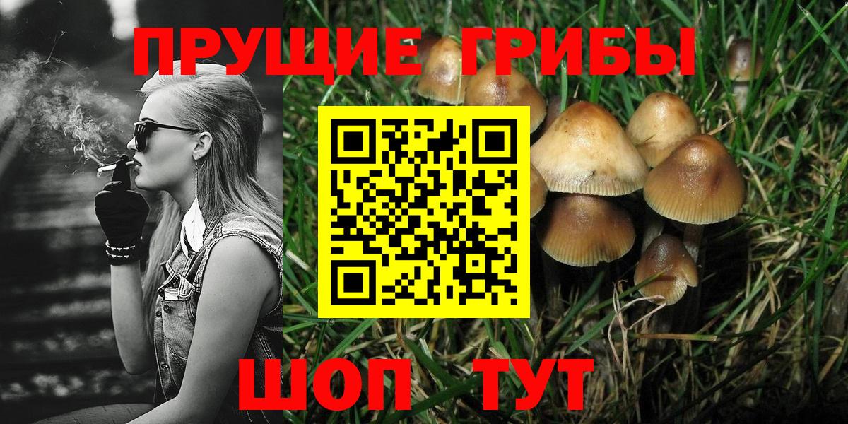 Алексин  Галлюциногенные грибы GOLDEN TEACHER  Галлюциногенные грибы мицелий  Вход с VPN 