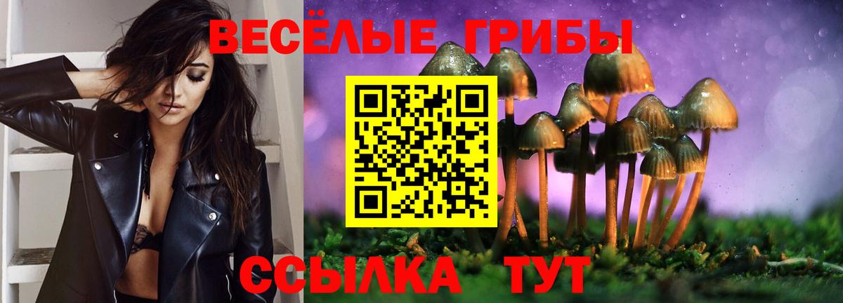 Галлюциногенные грибы Psilocybe Алексин